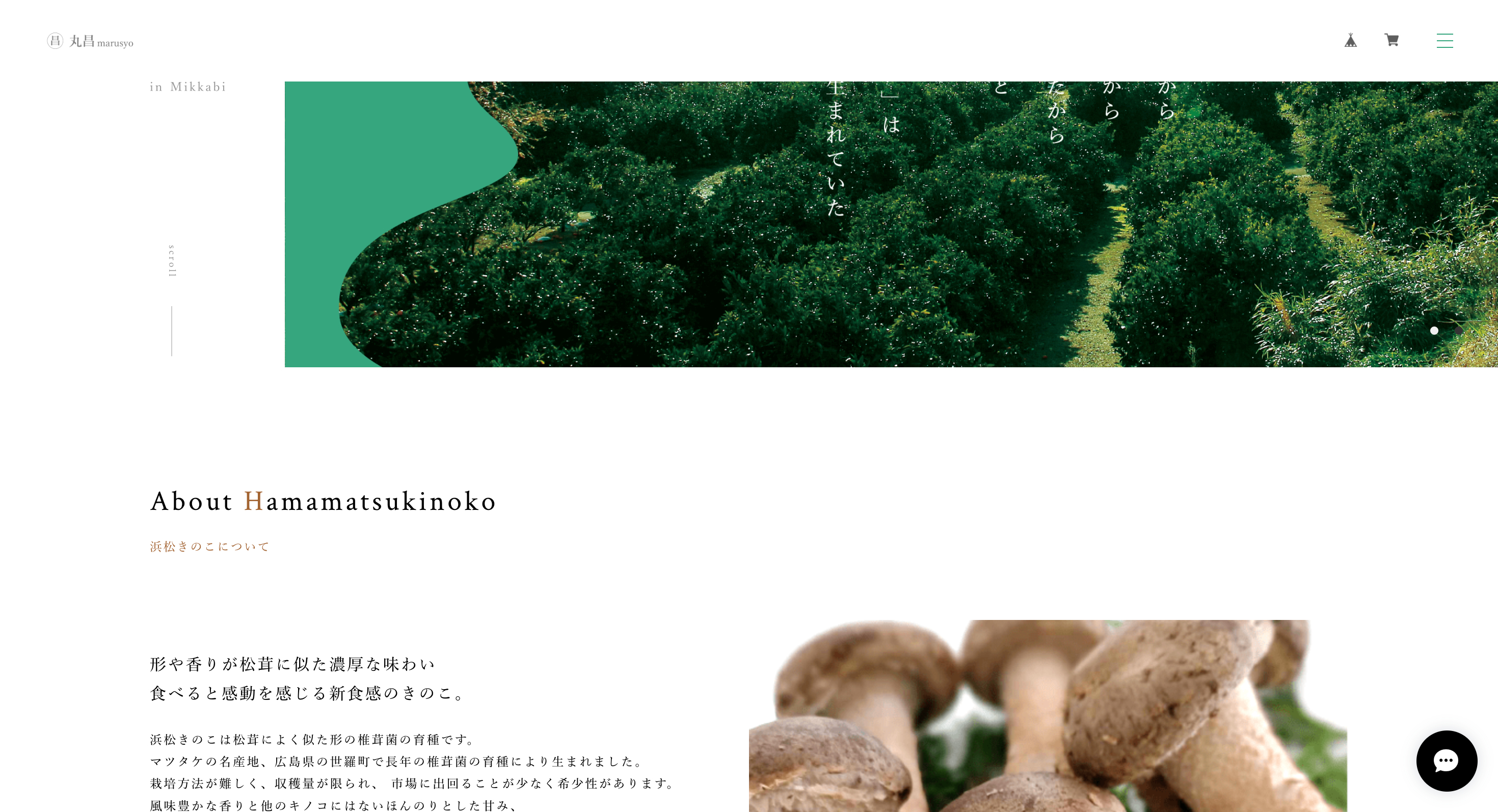 丸昌様のサイト